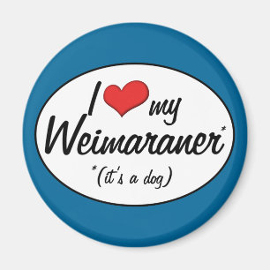 Imã Eu amo meu Weimaraner (é um cão)