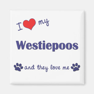 Imã Eu amo meu Westiepoos (os cães múltiplos)