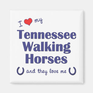 Imã Eu amo meus cavalos de passeio de Tennessee (os