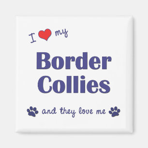 Imã Eu amo meus Collies de beira (os cães múltiplos)