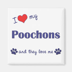 Imã Eu Amo Meus Poochons (Cães Múltiplos)