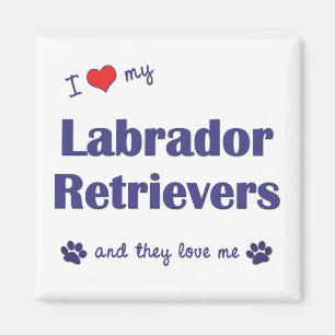 Imã Eu amo meus Retrievers de Labrador (os cães
