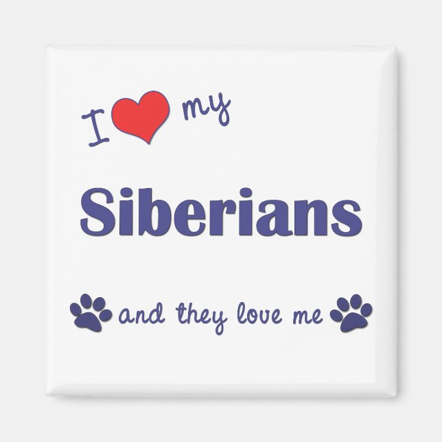 Imã Eu Amo Meus Siberianos (Múltiplos Gatos) (Frente)