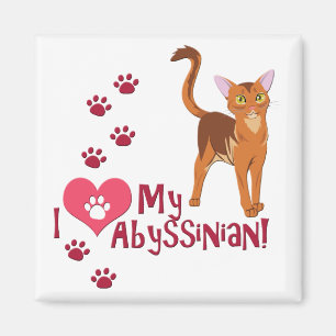 Imã Eu Amo Minha Abissínia!