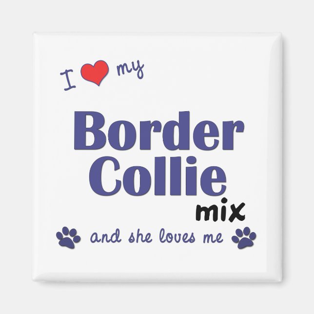 Imã Eu Amo Minha Fronteira Collie Mix (Cachorro Femini (Frente)