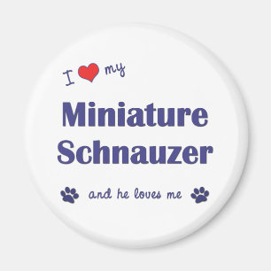Imã Eu Amo Minha Miniatura Schnauzer (Cachorro Masculi