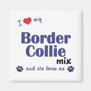 Imã Eu amo minha mistura de border collie (o cão