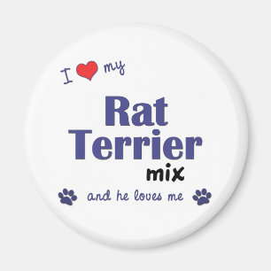 Imã Eu amo minha mistura de Terrier de rato (o cão