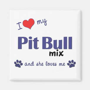 Imã Eu amo minha mistura do pitbull (o cão fêmea)