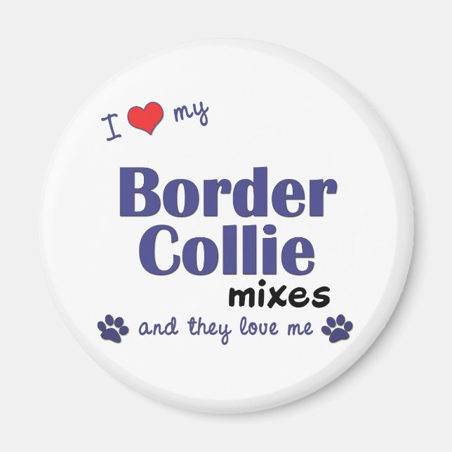 Imã Eu Amo Minhas Misturas De Collie De Borda (Vários  (Frente)