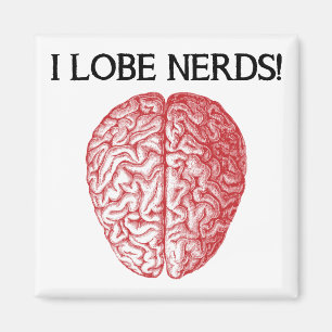 Imã Eu Amo Nerds Amo Ímã de Geladeira Divertido