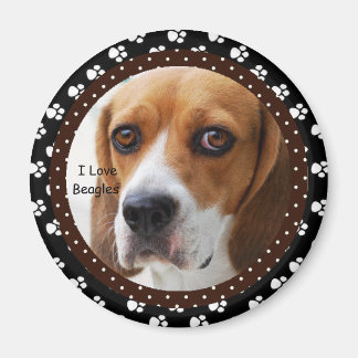 Imã Eu amo o Beagles Magnet