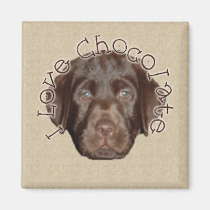 Imã Eu amo o chocolate