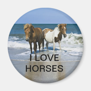 IMÃ EU AMO O ÍMÃ DOS CAVALOS