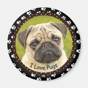Imã Eu amo o ímã dos Pugs 2