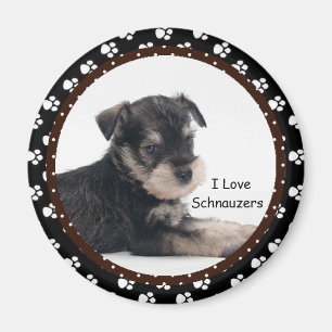 Imã Eu amo o ímã dos Schnauzers