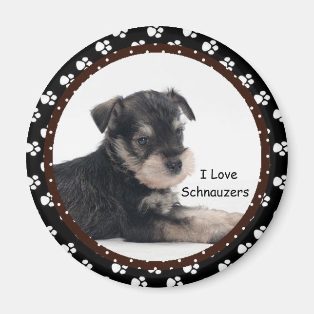 Imã Eu amo o Magnet dos Schnauzers (Frente)