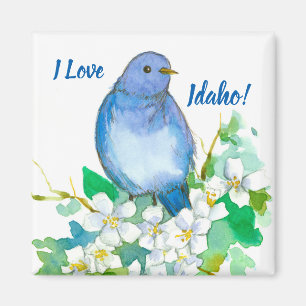 Imã Eu amo o Syringa do Bluebird da montanha de Idaho