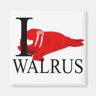 Imã Eu Amo Os Magnets De Walrus