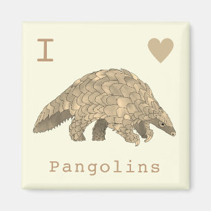 Imã Eu Amo Pangolins Espécie Animal Fofa Ameaçada de E