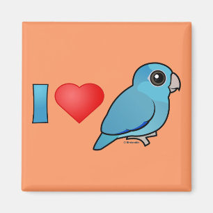 Imã Eu amo Parrotlets pacífico (azul)