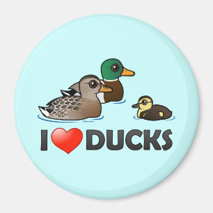 Imã Eu amo patos