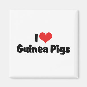 Imã Eu Amo Porquinhos-da-índia Coração