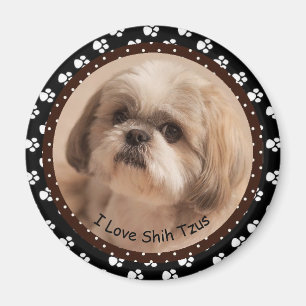 Imã Eu amo Shih Tzus Magnet