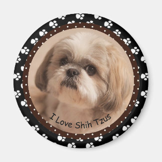 Imã Eu amo Shih Tzus Magnet