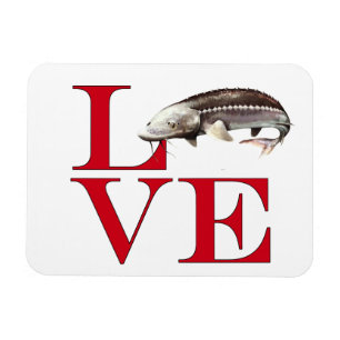 Ímã Eu Amo Sturgeon