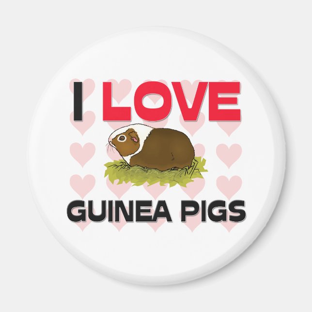 Imã Eu Amo Suínos de Guiné (Frente)