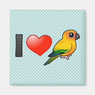Imã Eu amo Sun Conures