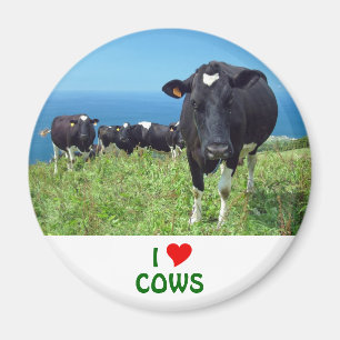 Imã Eu amo vacas