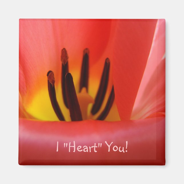 Imã Eu "Amo" Você! ímã Flores Tulipa VERMELHA (Frente)
