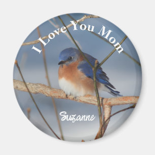Imã Eu Amo Você Mamãe Pássaro Azul Personalizado
