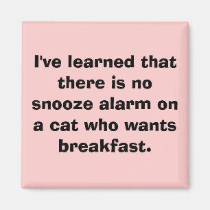 Imã Eu aprendi que não há nenhum alarme do snooze no