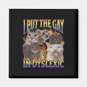Imã Eu Coloquei O Gay Em Disléxico Meme De Gato Engraç