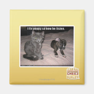 Imã Eu conserto cachorrinho