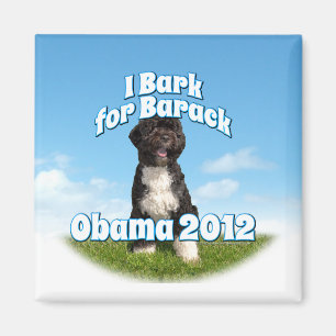 Imã Eu descasco para Barack, BO o primeiro cão Obama