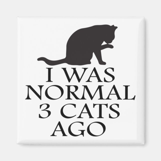 Imã eu era normal há 3 gatos — gato engraçado (Frente)