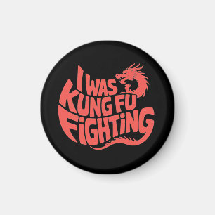 Imã Eu estava lutando contra Kung Fu