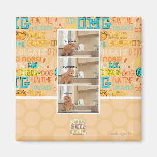 Imã Eu estou fazendo cocô!