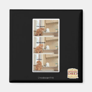 Imã Eu estou fazendo cocô!