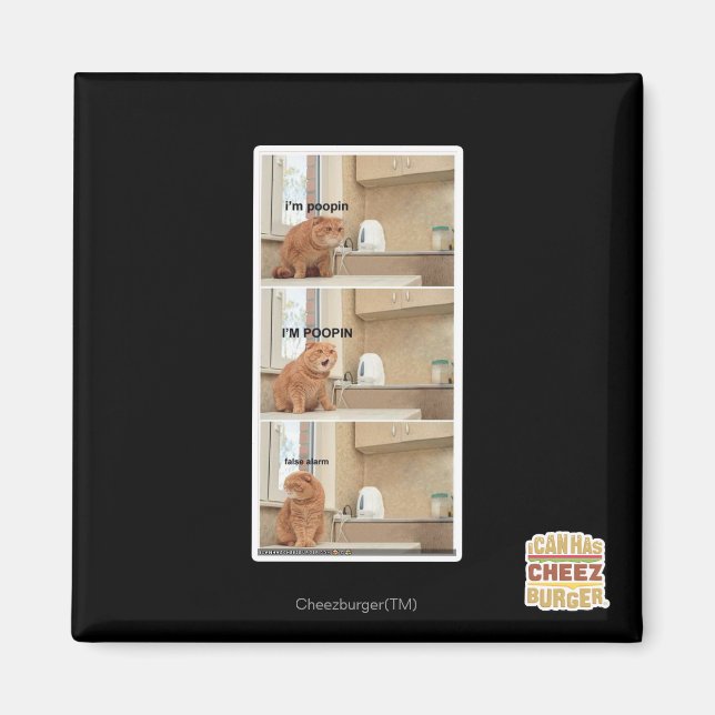 Imã Eu estou fazendo cocô! (Frente)