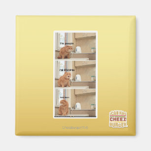 Imã Eu estou fazendo cocô!