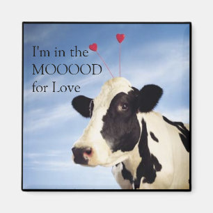 Imã Eu estou no Mooood para o amor