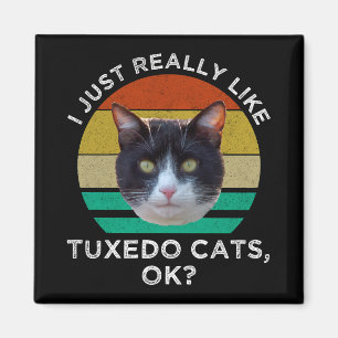 Imã Eu Gosto Muito De Gatos Tuxedo, OK?