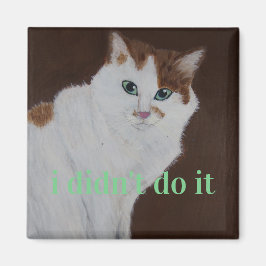 Imã eu não fiz isso