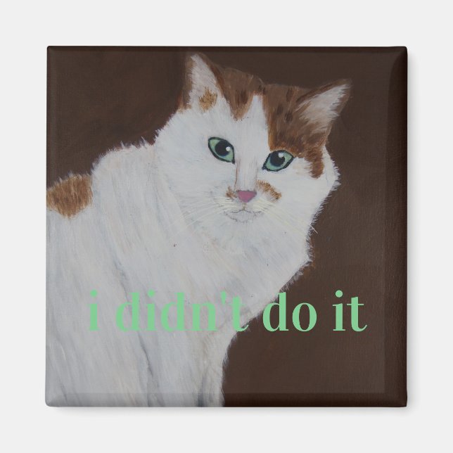 Imã eu não fiz isso (Frente)