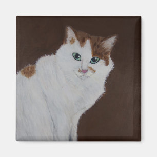 Imã Eu não fiz isso